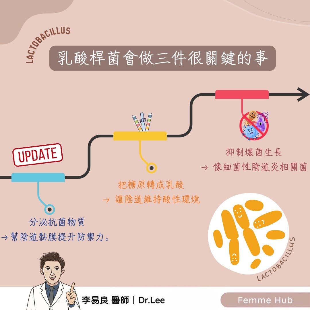 陰道也有「好菌」:為什麼乳酸桿菌這麼重要?1.jpg