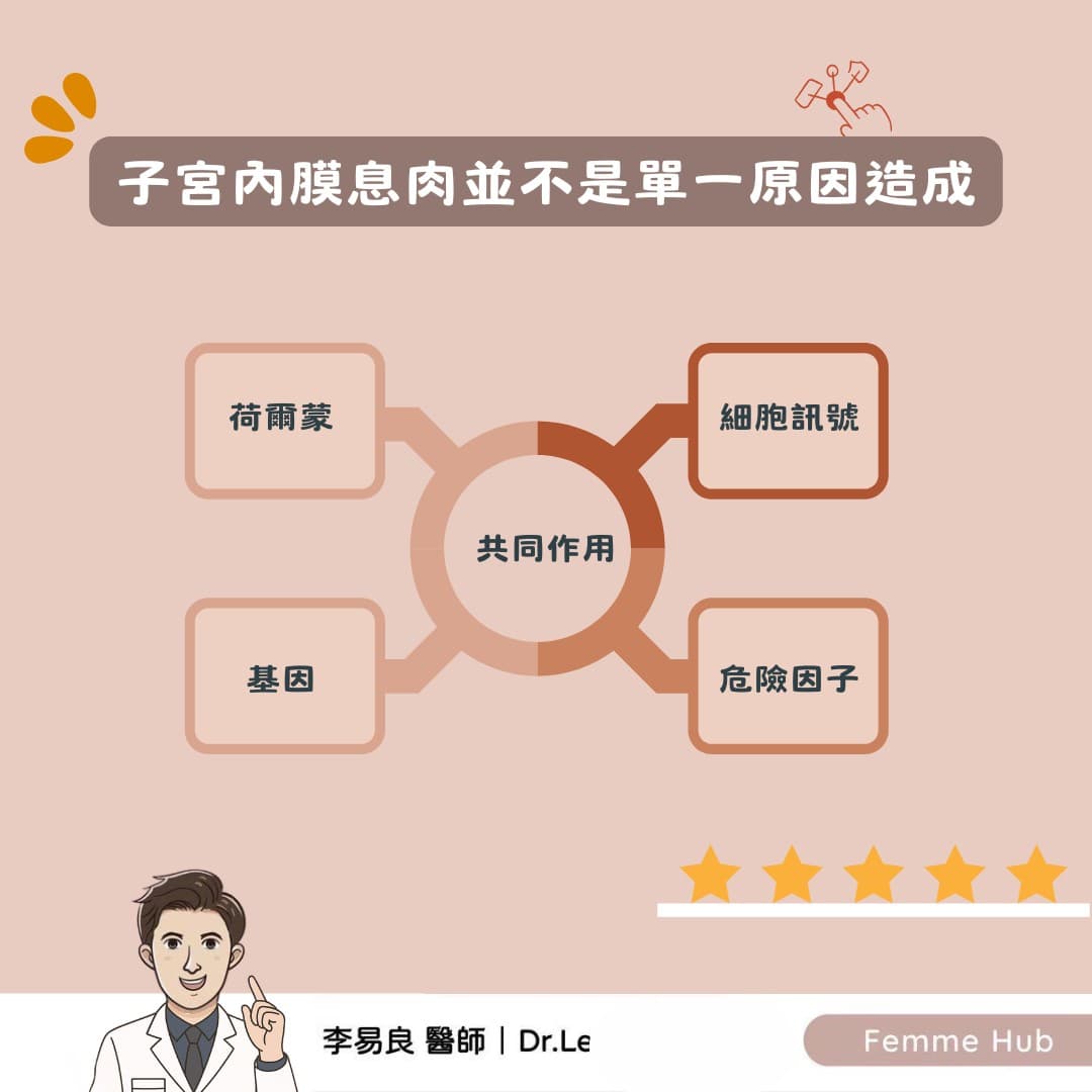 子宮內膜息肉:不只是雌激素的問題1.jpg