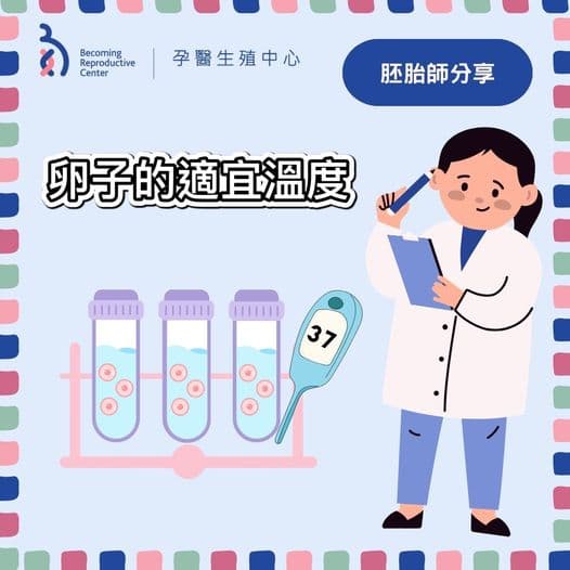 卵子的適宜溫度.jpg